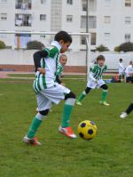 Escuela de Fútbol Fundación Real Betis Balompié