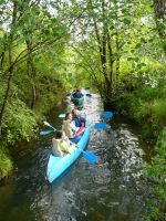 Campamento de Verano Multiaventura e Inmersión Lingüística en inglés